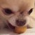 :iconsuperfannn: