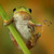 :iconsuperfreefrog: