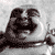:iconsupergluzie: