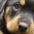 :iconsuperherodork: