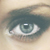 :iconsuperhoneysugarbear: