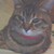:iconsuperkitty99: