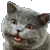 :iconsuperlauren: