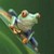 :iconsuperlim: