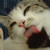 :iconsuperlulucia: