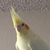 :iconsupermanong: