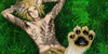 :iconsupernatural-x-art: