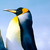 Supernob123 :iconsupernob123: