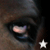 :iconsupersonicmuffin: