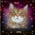 :iconsuperspacekittyplz:
