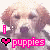 :iconsuperstar3000:
