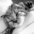 :iconsupersunshine01: