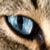 :iconsupertpt119:
