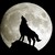 :iconsuperwolfe2000: