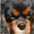 :iconsuphoto: