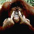 :iconsupinegravity: