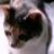 :iconsupreme-high-empress:
