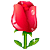 :iconsurefit100:
