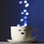 :iconsureshot-photography: