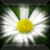 :iconsurf-chick: