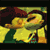 :iconsurferdriak: