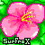 :iconSurfrox: