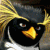 :iconsurfs-up-club: