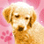 :iconsurgarbaby: