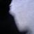 :iconsurprice: