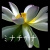 :iconsurreal-illusion: