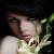 :iconsurrealfeline: