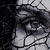 :iconsurroundead: