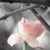:iconsurroundedbymirrors: