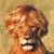 :iconsurveyor666: