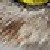 :iconsurvivalartist: