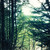 :iconsurviverangeloftime: