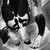 SurvivingWarrior :iconsurvivingwarrior: