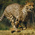 :iconsurvivorwolf: