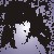 :iconsusanmcf: