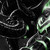 :iconsusano360: