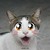 :iconsushibear92: