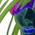:iconsushiglomper: