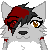 :iconsusivalkoinen: