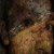 :iconsustainance: