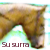 :iconsusurra: