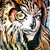 :iconsusysann: