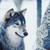 :iconsut1576: