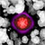 :iconsutefu-kasaichi: