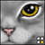 :iconsuteki1000: