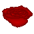 :iconsuuthebasketcase:
